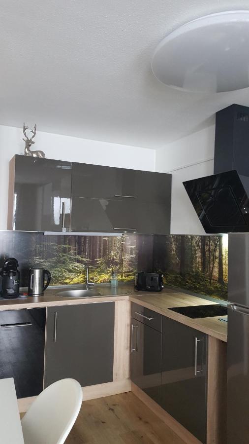 Ferienwohnung Mit Blick In Den Bayrischen Wald Oberhalb Von Sankt Engelmar Sankt Englmar Exteriör bild
