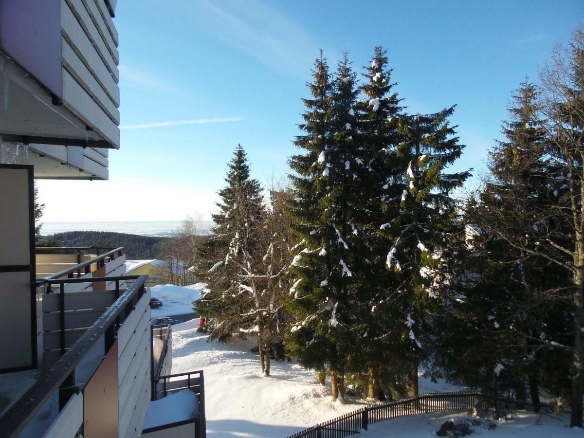 Ferienwohnung Mit Blick In Den Bayrischen Wald Oberhalb Von Sankt Engelmar Sankt Englmar Exteriör bild