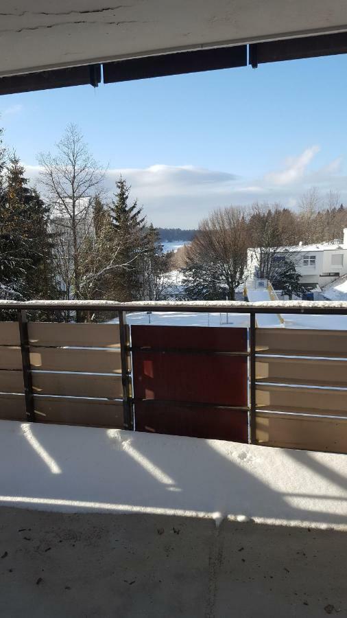 Ferienwohnung Mit Blick In Den Bayrischen Wald Oberhalb Von Sankt Engelmar Sankt Englmar Exteriör bild