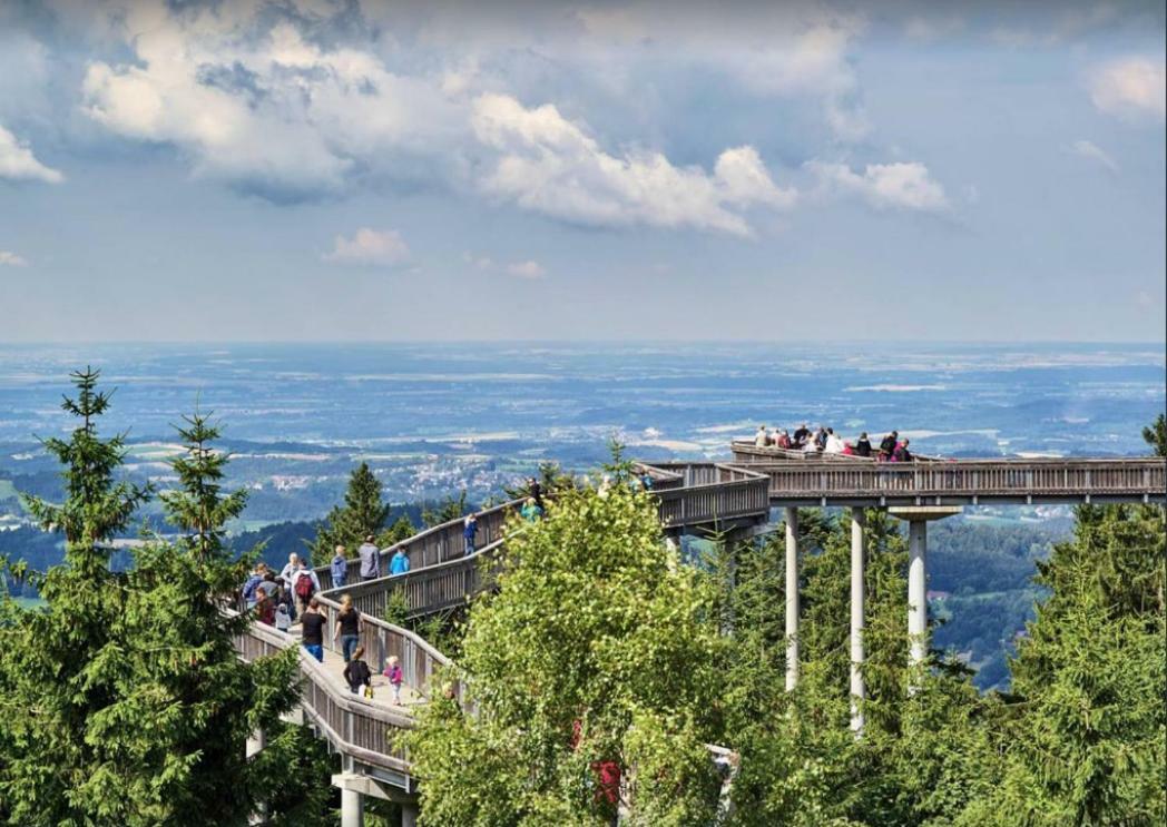 Ferienwohnung Mit Blick In Den Bayrischen Wald Oberhalb Von Sankt Engelmar Sankt Englmar Exteriör bild